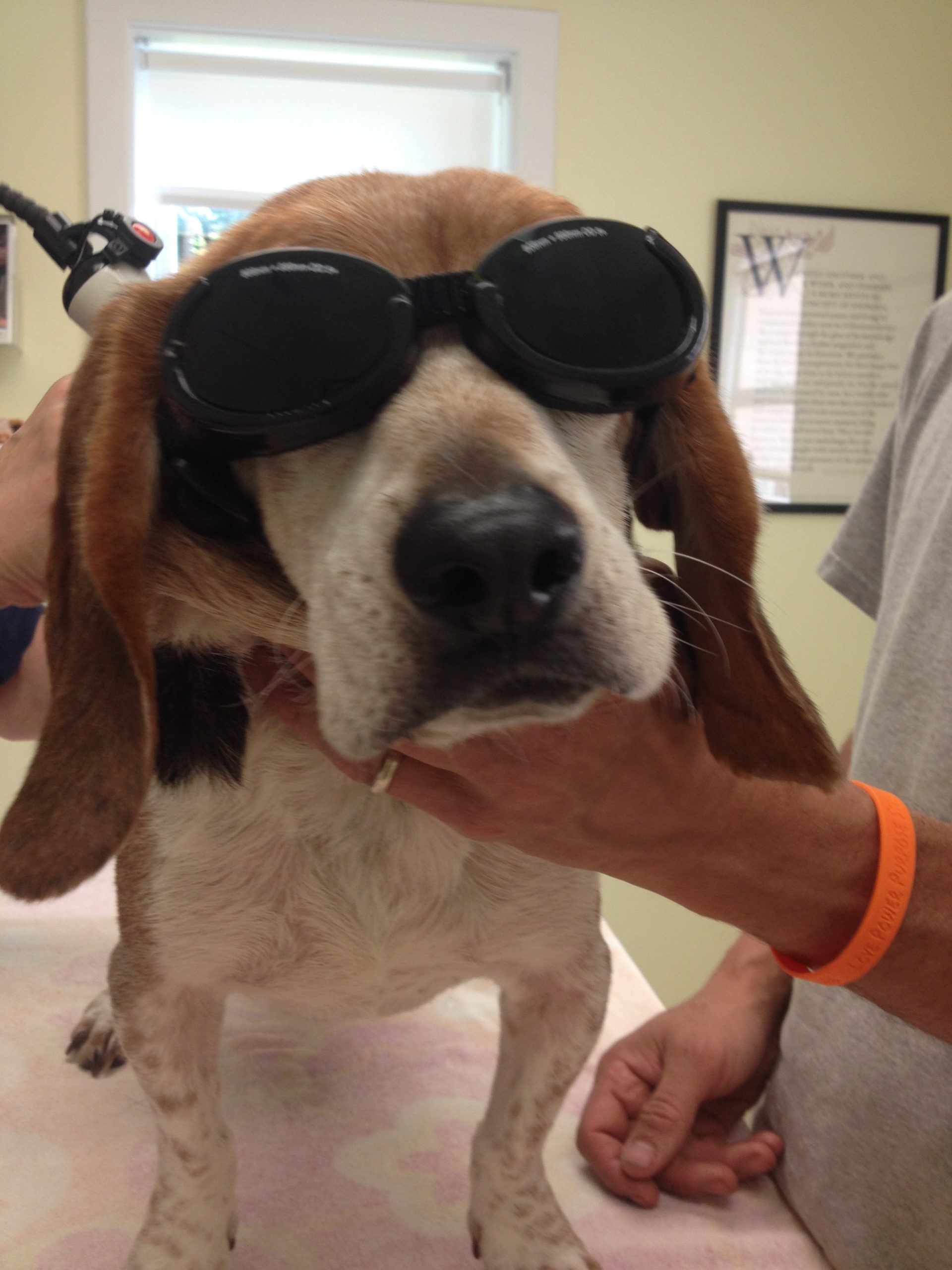 Laser Therapy  Montour Falls, NY 